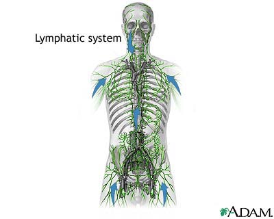 disintossicazione sistema linfatico