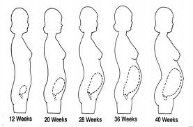 gravidanza osteopatia postura