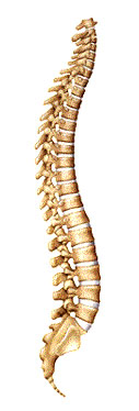 osteopatia mal di schiena