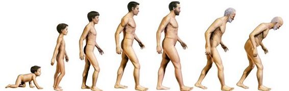 osteopatia postura 3
