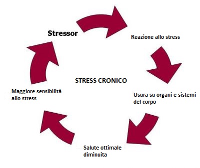 stress cronico stressor