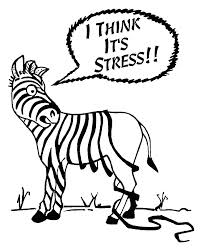 teoria allostasi stress