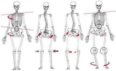 osteopatia postura