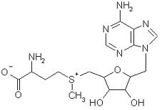 S-Adenosil-Metionina SAMe