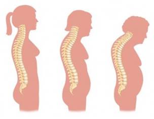 osteoporosi eta enzimi