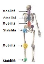 osteopatia-postura